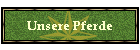 Unsere Pferde